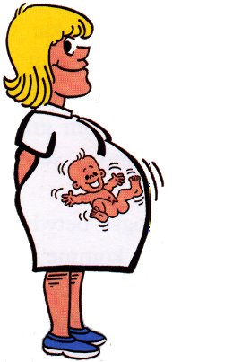 mor.jpg (19631 bytes)